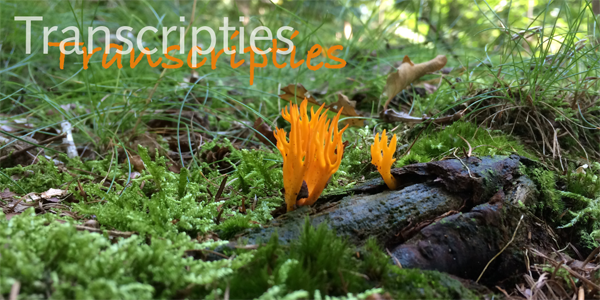 Transcripties